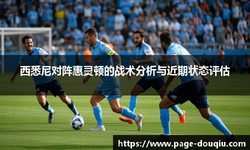 西悉尼对阵惠灵顿的战术分析与近期状态评估